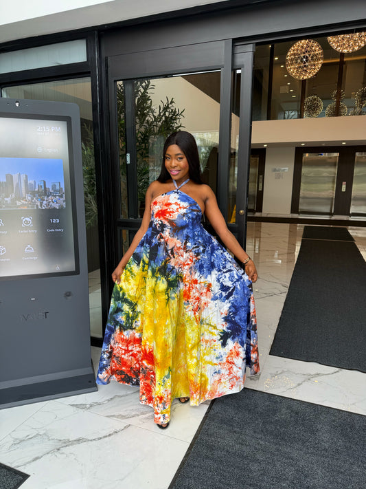 Ayra Dress (Color burst)